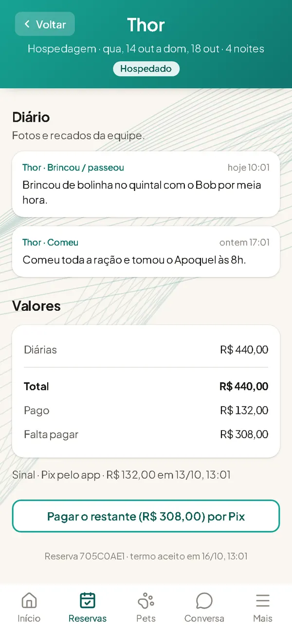 Fotos e recados enquanto o pet está com você